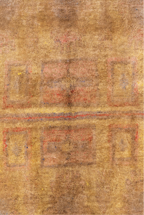 Antique Cotton Agra Area Rug (6' x 8')